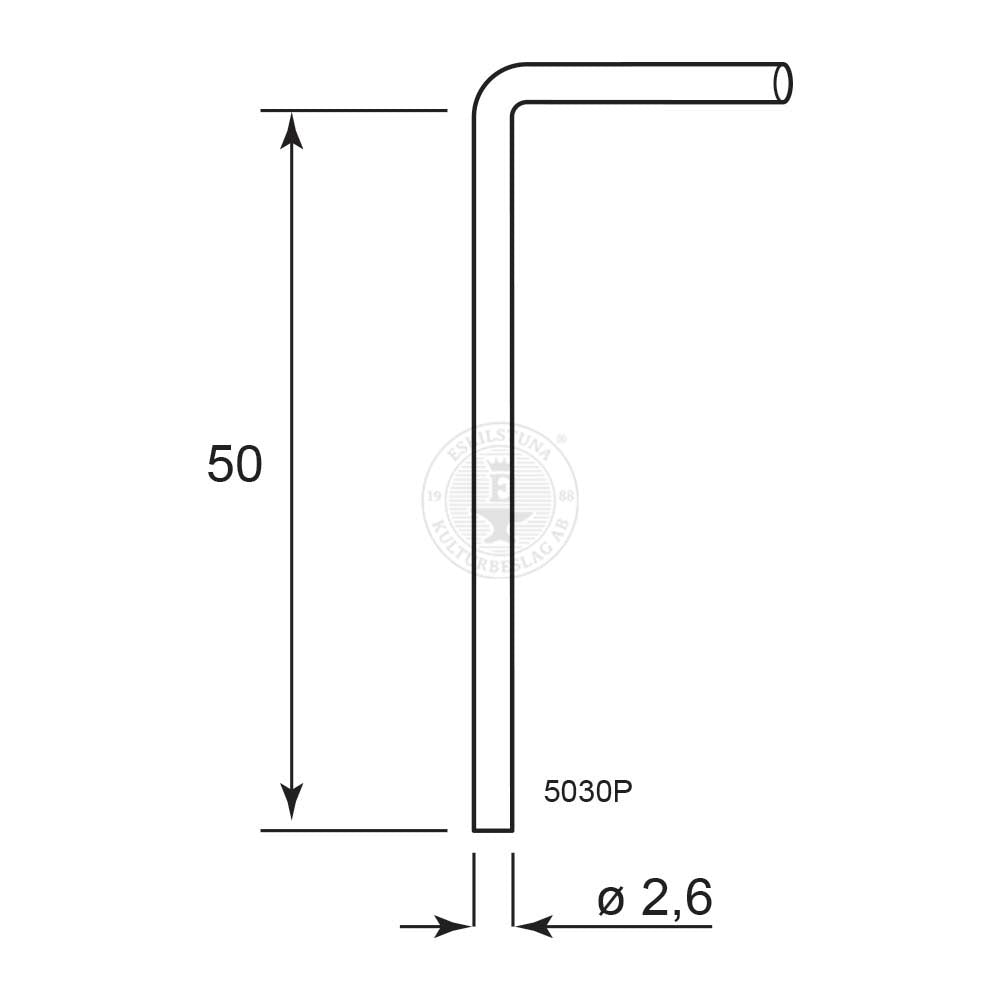 Gångjärnspinne 5030P