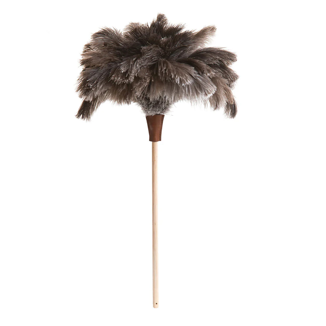 Dammvippa Strutsfjäder ovolin