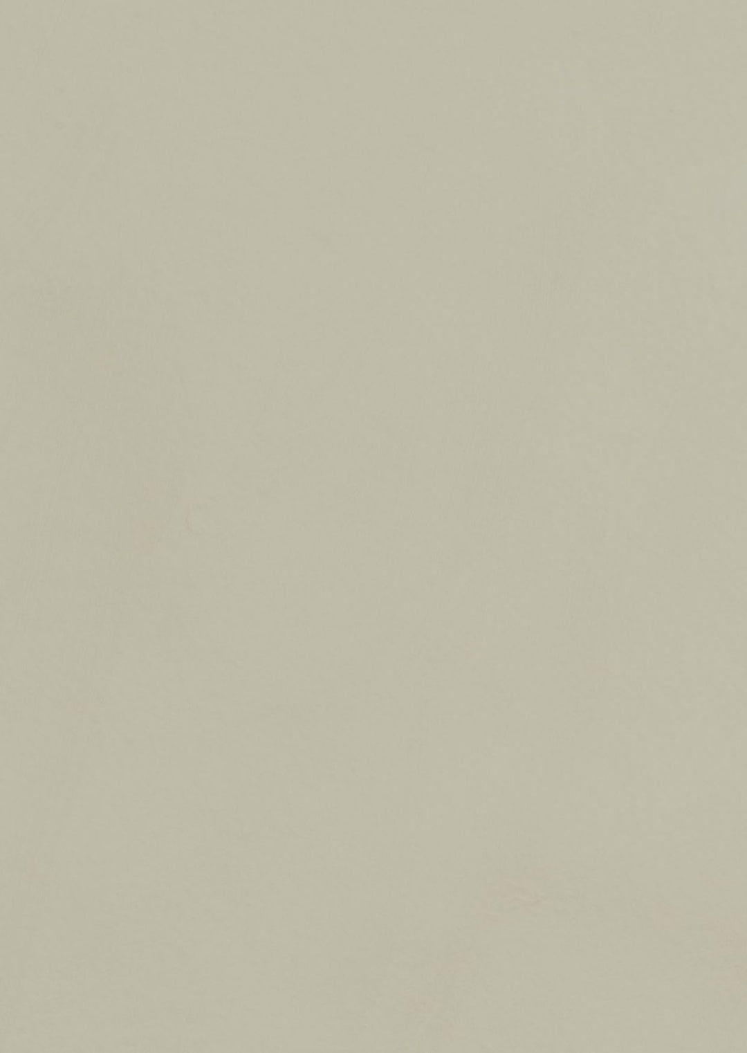 Savella lerfärg - Lavskägg no.4