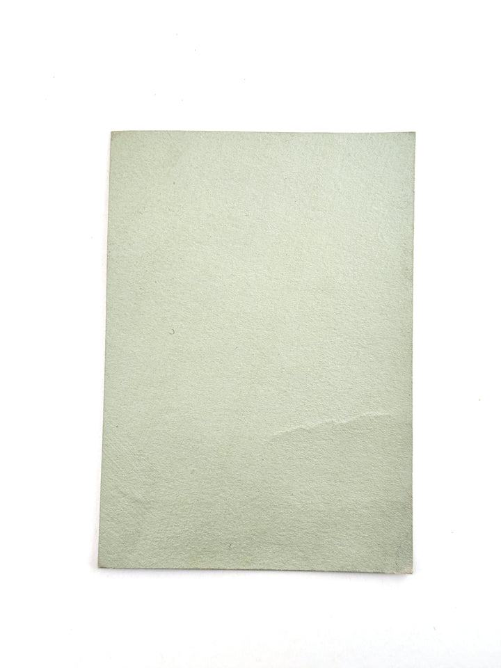 Savella lerfärg - Timjan no. 26