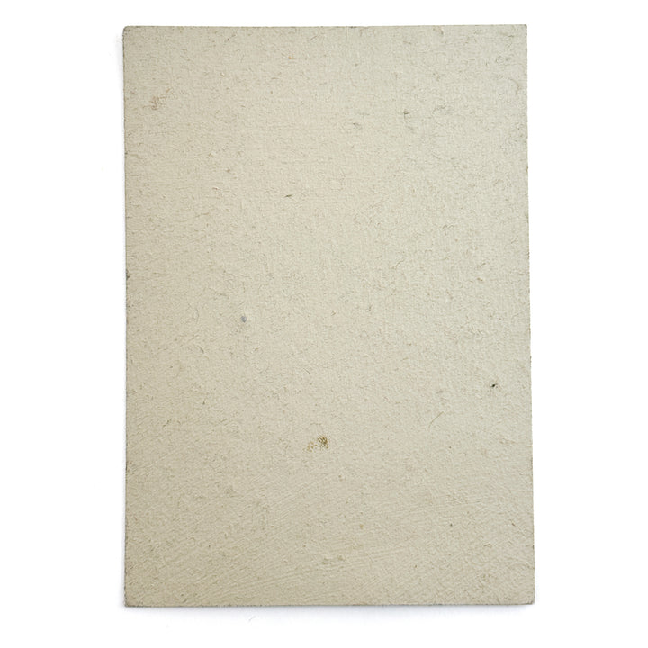 Savella lerfärg - Lavskägg no.4