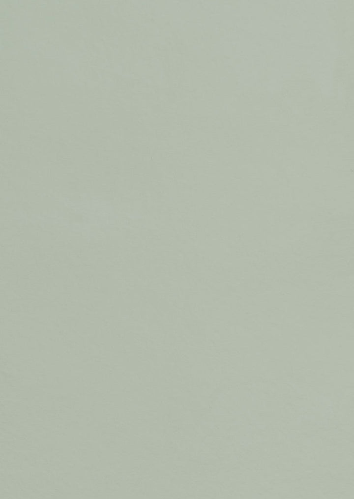 Savella lerfärg - Timjan no. 26